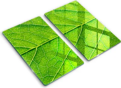 Produktbild von Glasschneideplatte - Herdabdeckplatte - 2x30x52 cm -Schneidebrett - Spritzschutz -Blattlinien Natur
