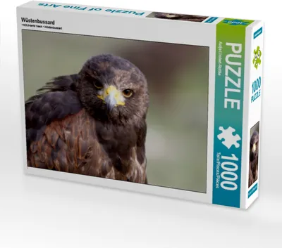 Produktbild von Calvendo Wüstenbussard 1000 Teile Puzzle quer 640x480mm, Lindert-Rottke Antje; 7437352