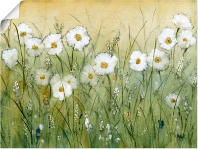 Produktbild von ARTland Poster Gänseblümchenfrühling II Größe: 40x30 cm