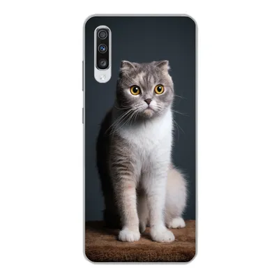 Produktbild von MuchoWow® Handyhülle Schutzhülle Hülle für Samsung Galaxy A70 Katze - Haustiere - Licht Silikon Softcase Handy Hülle - Schutzhaube