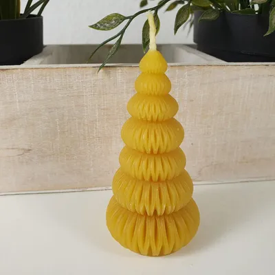 Produktbild von Bienenwachskerze Tannenbaum Kerze rund 8 cm