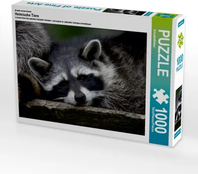 Produktbild von Calvendo Ein Motiv aus dem Kalender Heimische Tiere 1000 Teile Puzzle quer 640x480mm, CALVENDO; 7273761