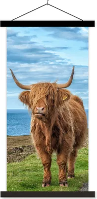 Produktbild von MuchoWow® Textilposter Schottisches Hochlandrind - Wasser - Hörner 40x80 cm mit schwarzem Rahmen - Wandemalerei