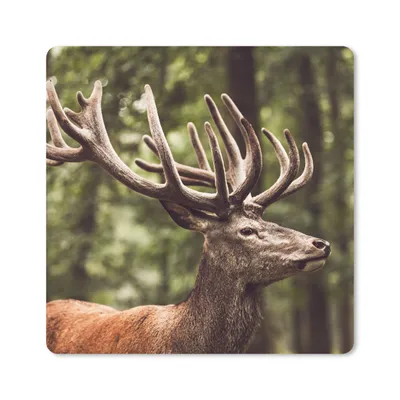 Produktbild von MuchoWow® Mauspad Mousepad Hirsch - Natur - Geweih - Wald - Tiere 20x20 cm - Mousepads - Maus Mat - Pad - Mausunterlage - Desk Mat - Bureauartikeln