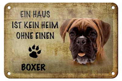 Produktbild von Blechschild Spruch 18x12cm Boxer Hund ohne kein Heim