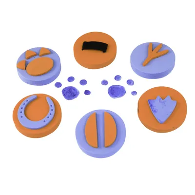Produktbild von EDUPLAY 370018 Handflächenstempel Tierspuren 6er Set, mehrfarbig