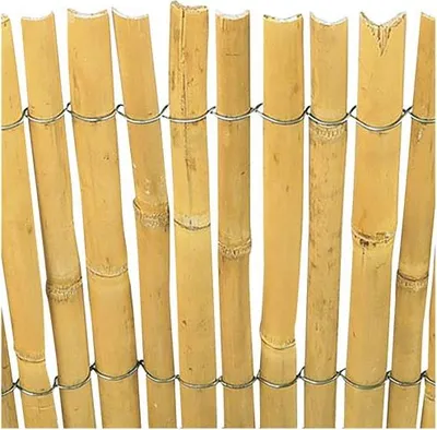 Image de Claie en roseau naturel 2 x 5 ouvert NATURCANE