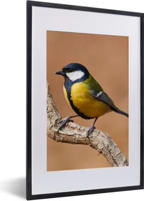 Produktbild von MuchoWow® Gerahmtes Poster Vogel - Kohlmeise - Zweige 40x60 cm - Poster mit Schwarzem Bilderrahmen Wandposter Rahmen Foto Bilder - Poster in Rahmen