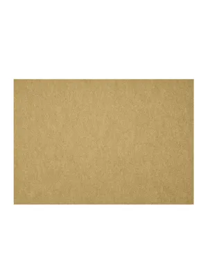 Image de FIBERIXX Set de table sable 31x42cm