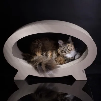 Image de Griffoir pour chat Elipso en carton avec des matériaux durables
