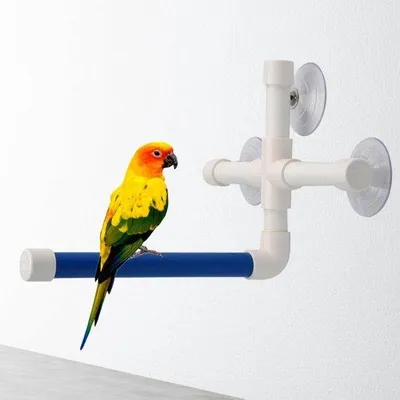 Productafbeelding van Kleurrijk plastic zitplatform voor papegaaien, voorzien van antislipvoetjes