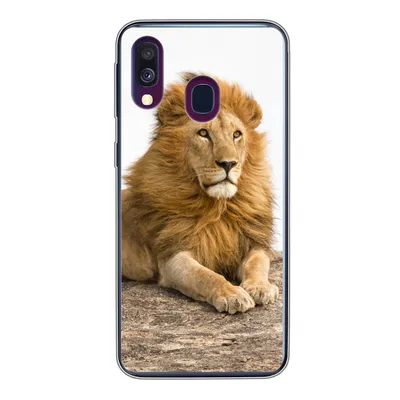 Produktbild von MuchoWow® Handyhülle Schutzhülle Hülle für Samsung Galaxy A40 Löwe - Mähne - Tier Silikon Softcase Handy Hülle - Handy-Tasche