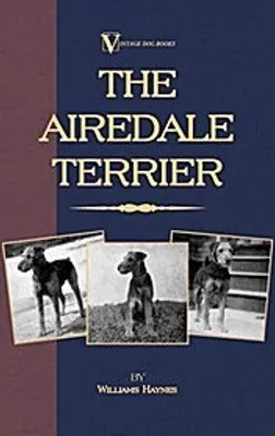 Immagine prodotto di L'Airedale Terrier