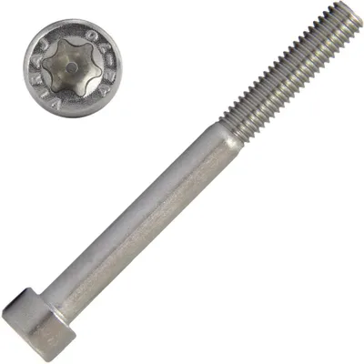 Produktbild von AG-BOX Zylinderschrauben M4x55 mit Innensechsrund TX (ISO 14579) , 10 Stück