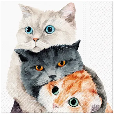Produktbild von Servietten 33x33 cm - Better Together