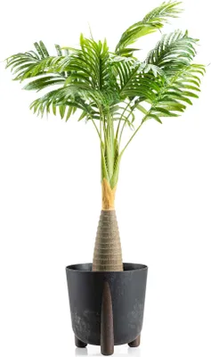 Produktbild von HowHomely | Pflanzkübel - Moss - 26x25 cm - Schwarzer Beton - Modernes Design - Umweltfreundlich