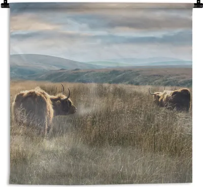 Produktbild von MuchoWow® Wandteppich Wandbehang Schottische Hochlandrind - Nebel - Gras 60x60 cm Tapisserie Dekoration Wandtuch - Dekorationen - Wand Decke