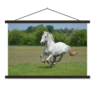 Produktbild von MuchoWow® Textilposter Pferde - Natur - Weiß 120x80 cm mit schwarzem Rahmen - Wanddeko