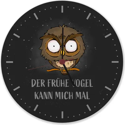 Produktbild von Eule Wanduhr aus Alu mit Spruch Der frühe Vogel kann mich mal