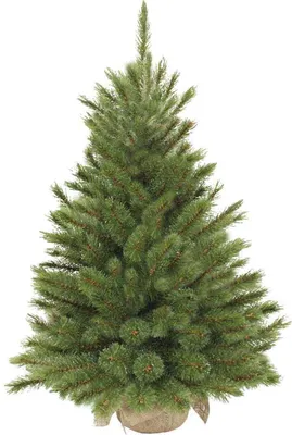 Image de Triumph Tree Arbre de Noël artificiel Kunstkerstboompje LED - 46x46x60 cm - Aiguille dure - Vert