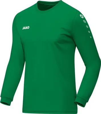 Image de T-shirt Jako Team 433306
