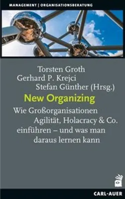 Immagine prodotto di New Organizing