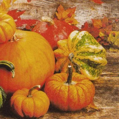 Obrázek produktu pro Ubrousky 33 x 33 cm – Dýně