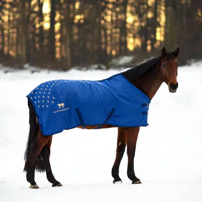 Zdjęcie produktu dla Accuhorsemat - oryginalna mata do akupresury, kolor niebieski