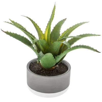 Produktbild von Atmosphera - Sukkulente Kunstpflanze - im Zementtopf - 22 cm