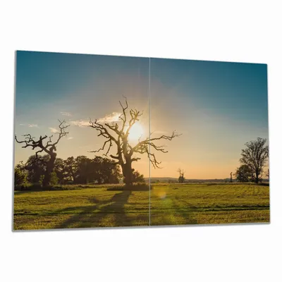 Produktbild von Wallario Herdabdeckplatte aus Glas, Größe 80 x 52 cm 2-teilig, Motiv Alte knochige Bäume bei Sonnenuntergang
