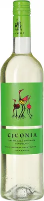 Produktbild von Herdade de Sao Miguel Ciconia Branco