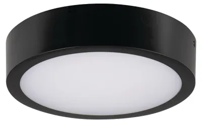 Zdjęcie produktu dla Plafon LED okrągły DABER czarny 13W Odcienie bieli 1490lm tworzywo sztuczne wym:5,9x25,1x25,1cm IP66 Kanlux