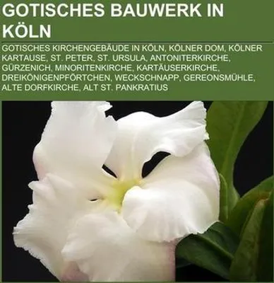 Image de Gotisches Bauwerk in Köln