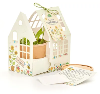 Produktbild von Die Stadtgärtner Gewächshäuschen Timos Blumen-Garten, Sonnenblumen