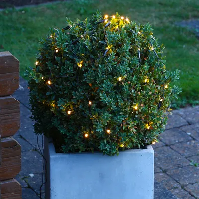 Produktbild von LED Lichternetz für Buchsbaum - Kugelnetz - 80 warmweiße LED - 24V Außentrafo - D: 50cm - grün
