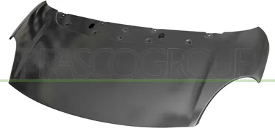 Produktbild von PRASCO FT0403100 Motorhaube für FIAT 500L (351, 352)