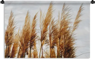 Produktbild von MuchoWow® Wandteppich Wandbehang Pampasgras - Sonne - Gras 120x80 cm Tapisserie Dekoration Wandtuch - Wanddekorationen - Wandtücher