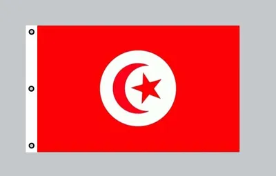 Produktbild von Riesen-Flagge: Tunesien 150cm x 250cm