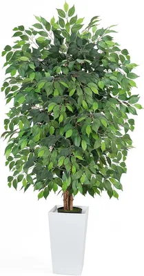 Kunstficus 180 cm, künstliche Pflanze mit weißem Topf