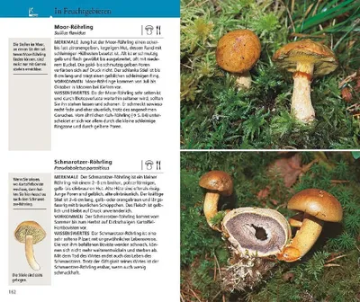 Produktbild von Kosmos Pilzführer für unterwegs