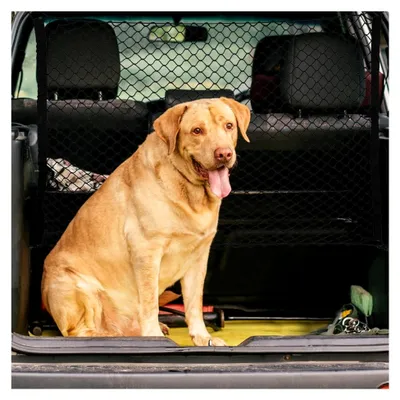 Produktbild von Autoschutznetz Trennnetz für den Kofferraum, Hundegitter für Haustiere, universelles Sicherheitsnetz mit 4 Haken, 130x90 cm/120x70 cm