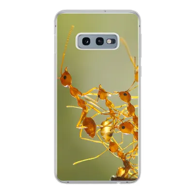Produktbild von MuchoWow® Handyhülle Schutzhülle Hülle für Samsung Galaxy S10e Ameisen - Orange - Tiere Silikon Softcase Handy Hülle - Handy