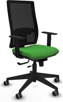 Image de Bürostuhl Piqueras y Crespo 1D066G0 grün