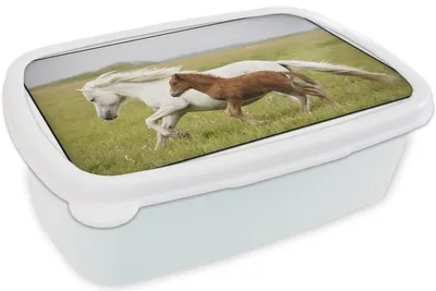 Produktbild von KitchenYeah® Lunchbox Brotzeit Brotdose 17x11 cm Pferde - Tiere - Gras Kinder Brotzeitdose - Lunch Box - Kinder - Sandwich-Box - Schulbox - Lunch Boxen