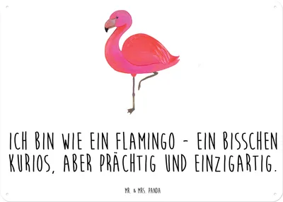 Produktbild von Mr. & Mrs. Panda tafel Flamingo Classic DIN A5 - Weiß - Geschenk, Spruch, Retro Blechschild, Wandbild, Ich, Schild, Prächtig, Türschild, Freundin, Rosa