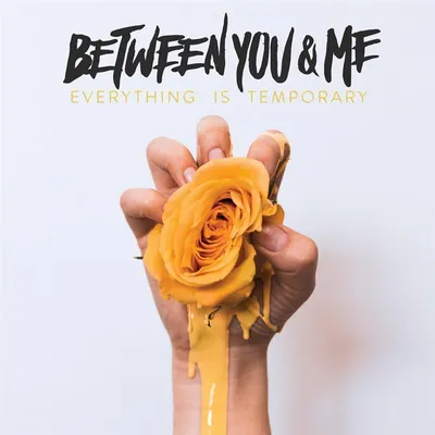 Image de Everything Is Temporary (clear W/ Yellow Splatter Lp)