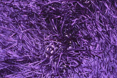 Immagine prodotto di Shaggy Roma viola (120x180 cm)