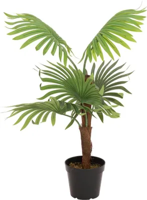 Produktbild von artplants.de Kunststoff Palme Livistona rotundifolia GHADA, 90cm - Künstliche Palme