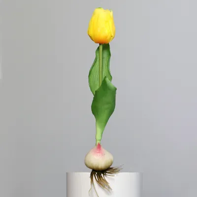 Produktbild von künstliche Tulpe mit Zwiebel gelb grün H. 25cm DPI Kunstblumen