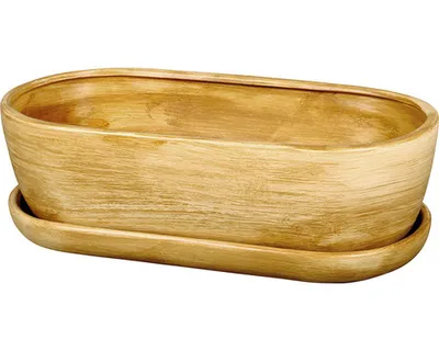 Image de Boîte à cactus KAKTUS O TEAK avec soucoupe 32 cm mat brun clair